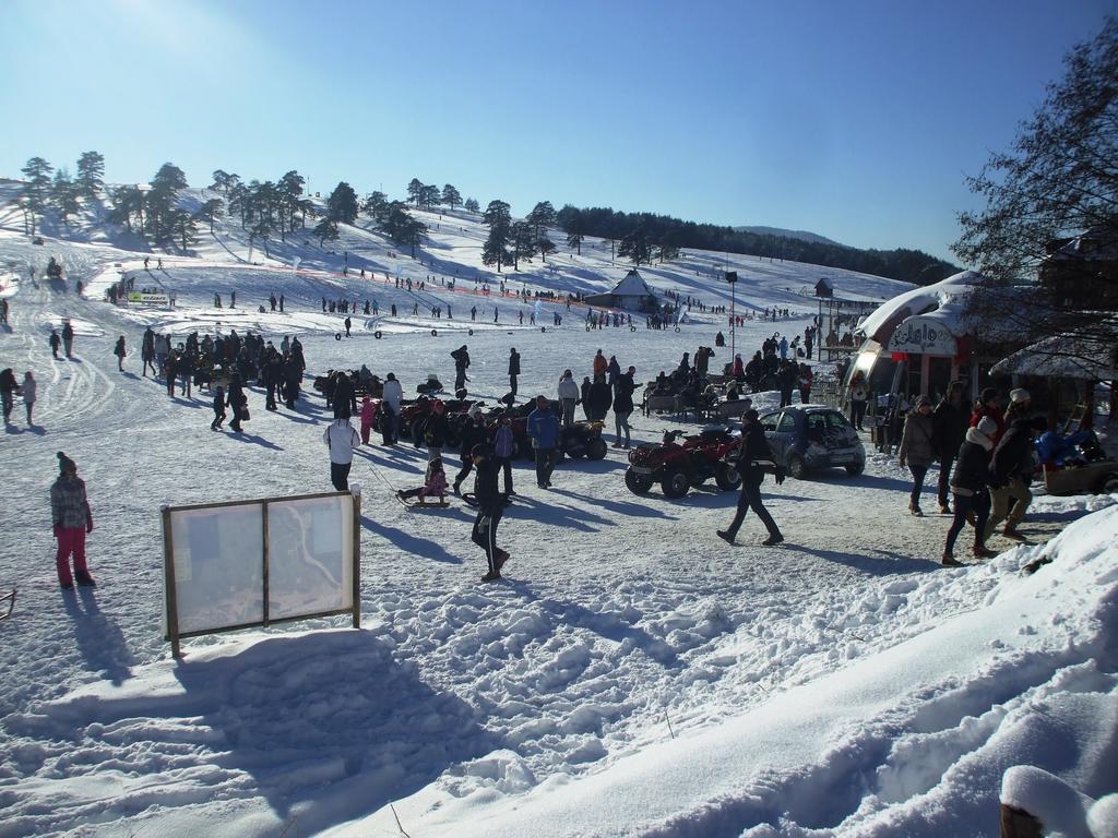 Villa Bozovic Zlatibor Bagian luar foto