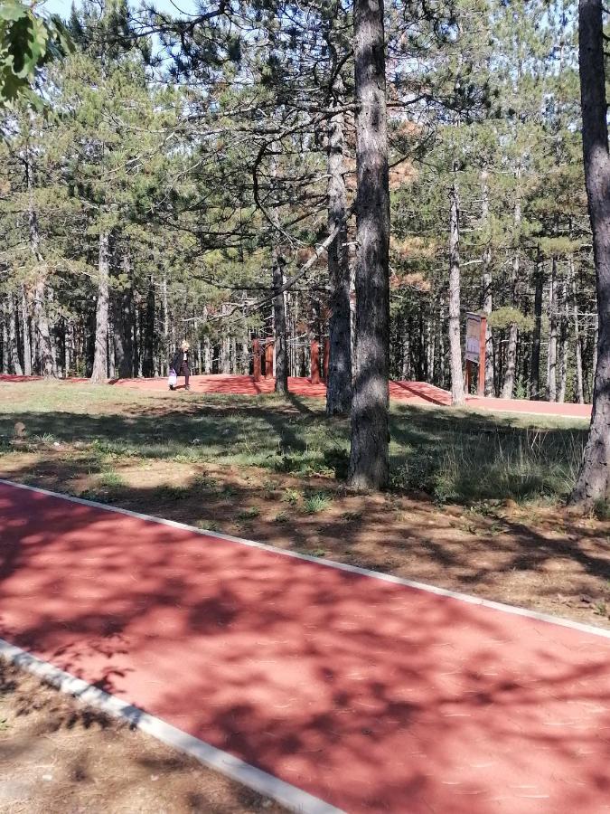 Villa Bozovic Zlatibor Bagian luar foto