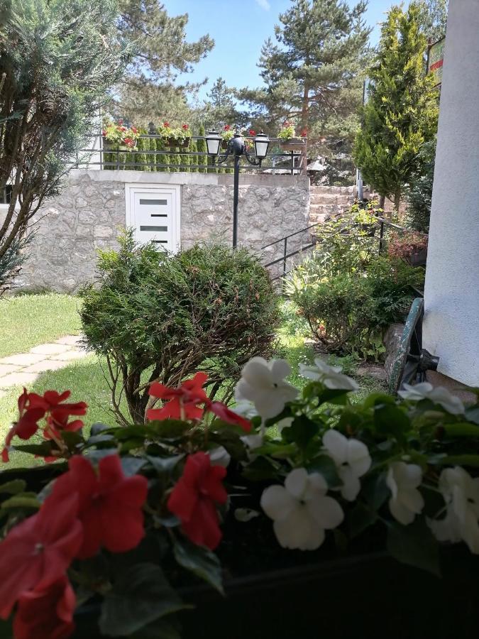 Villa Bozovic Zlatibor Bagian luar foto