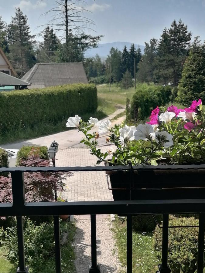 Villa Bozovic Zlatibor Bagian luar foto
