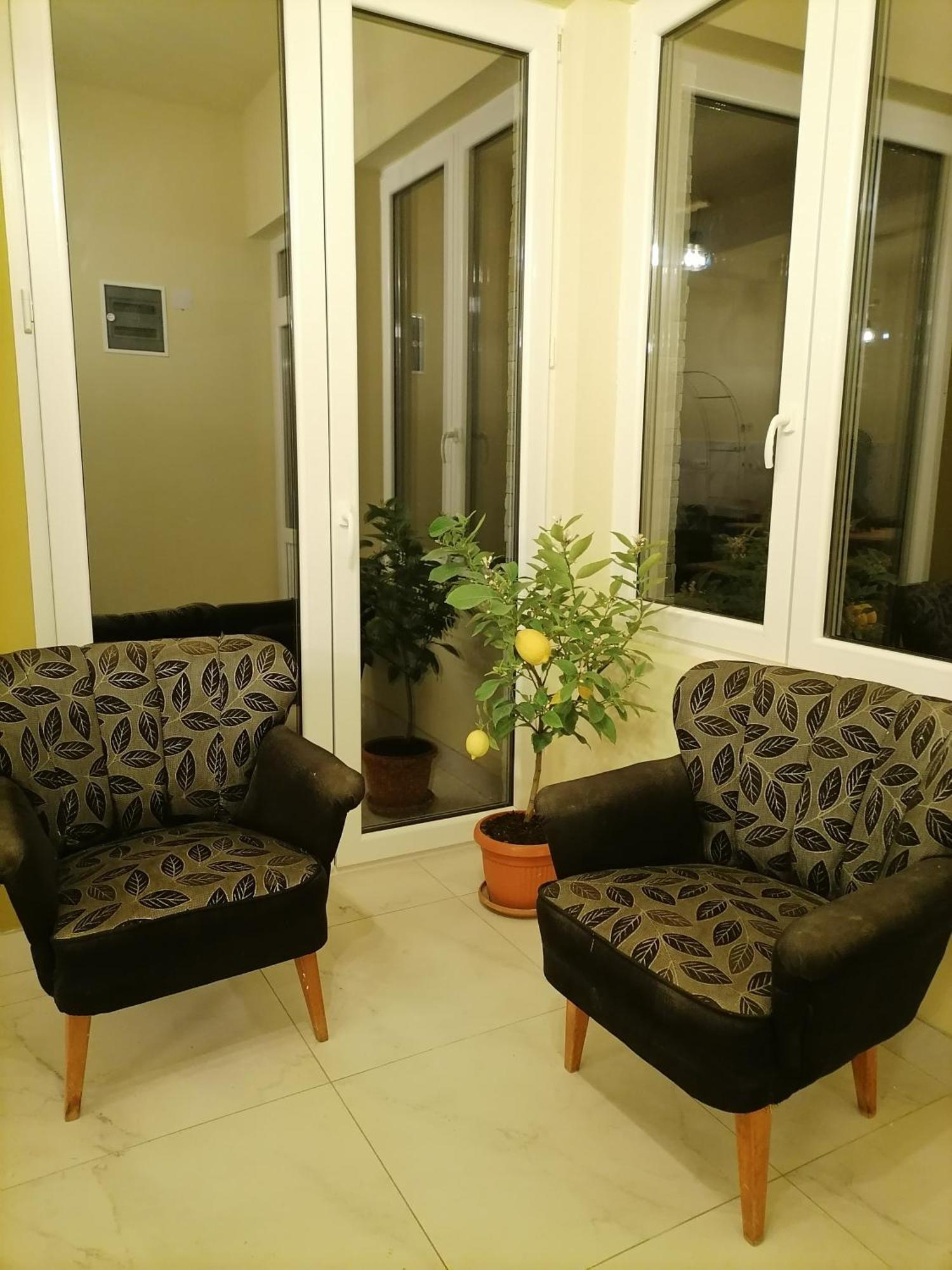 Villa Bozovic Zlatibor Bagian luar foto