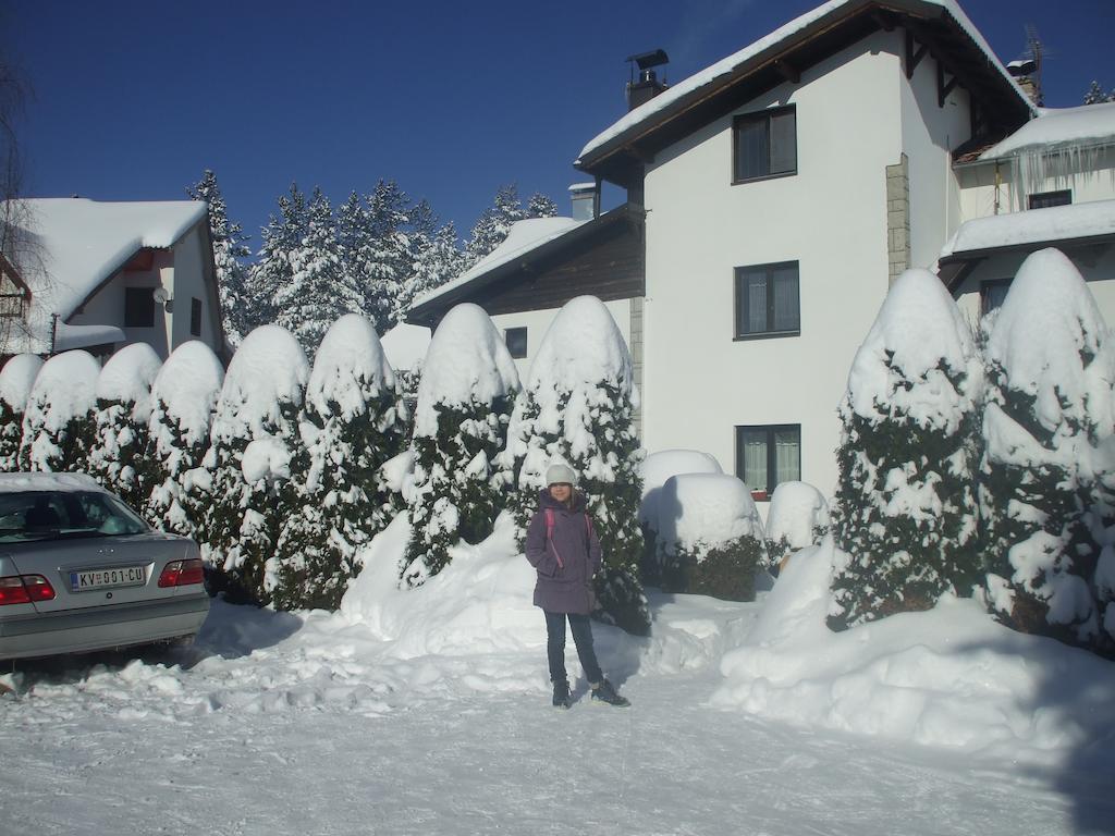Villa Bozovic Zlatibor Bagian luar foto